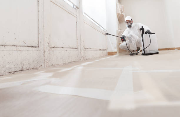24/7 Emergency Mold Remediation experts in King George, VA