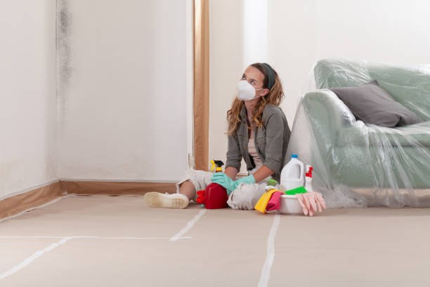 Reliable Mold Remediation contractor in King George, VA by 24 Hour Mold Removal