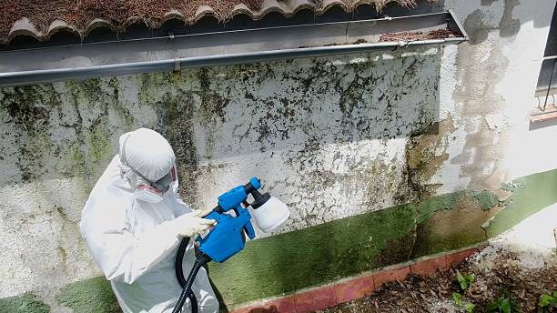 Top rated local Mold Remediation specialists in King George, VA